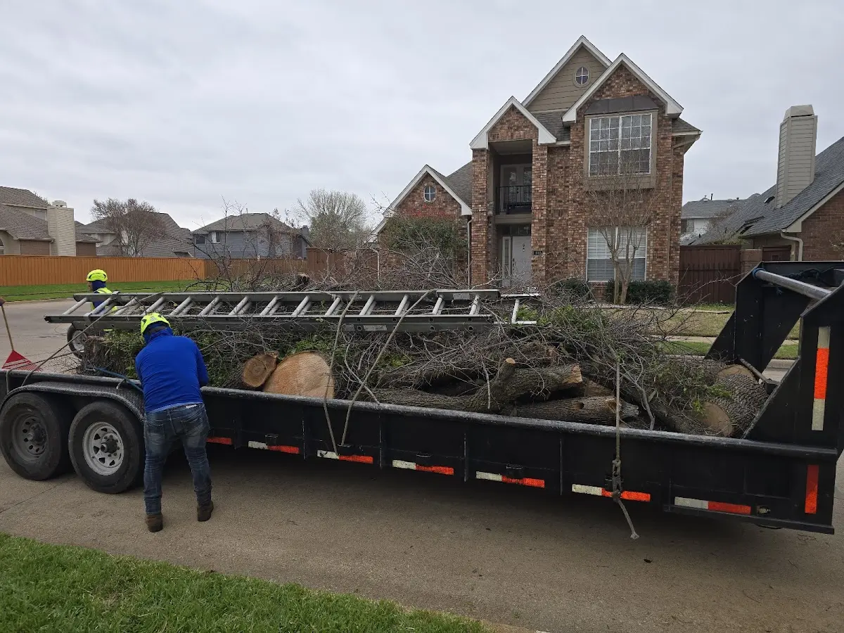 Expert Crown Reduction with proper safety equipment in Mascoutah